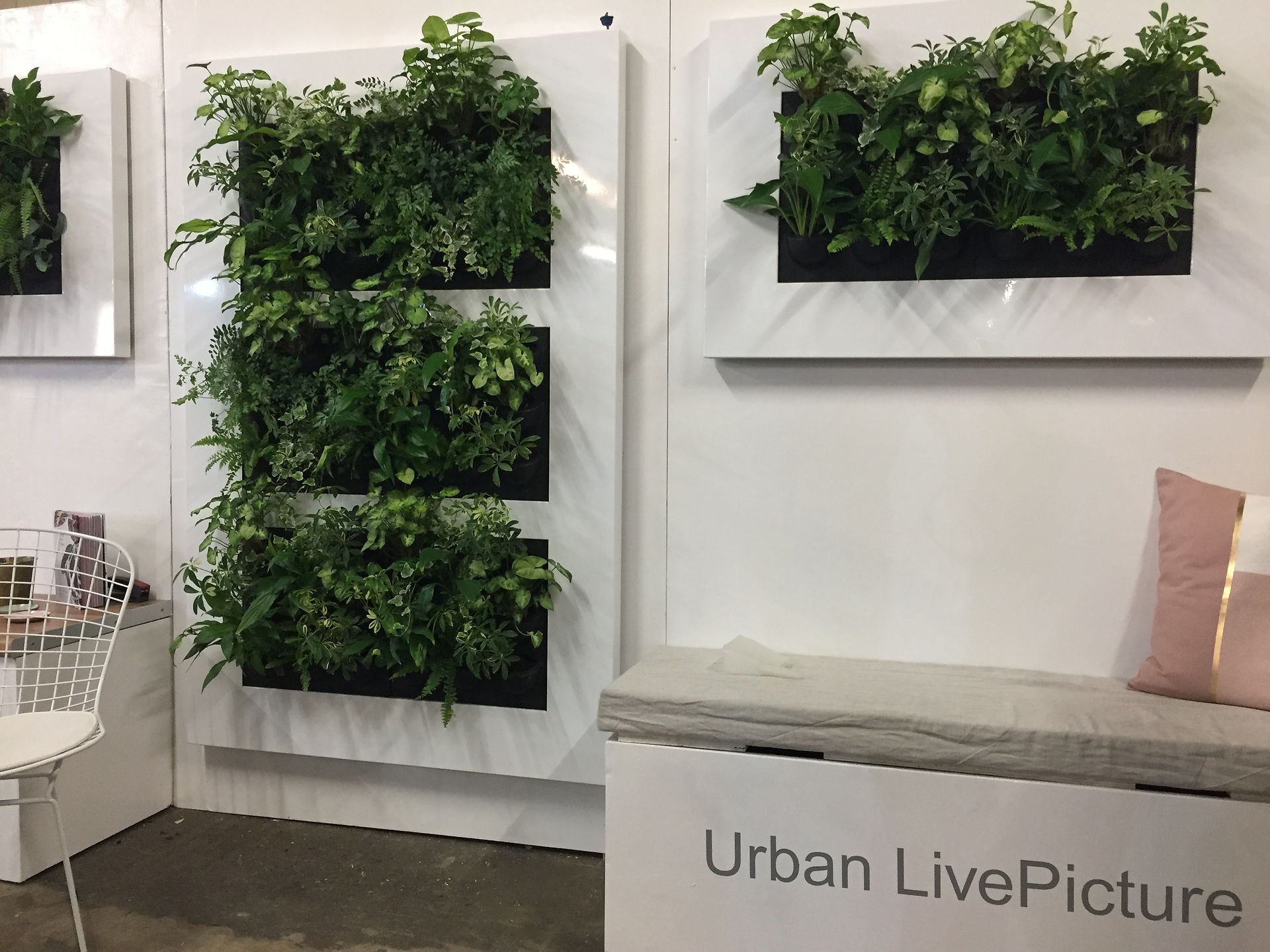 Urban Roof Gardens