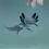 Thumbnail: AXOLOTL WILD 14CM