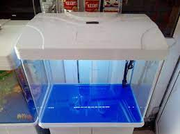 fish tanks for beginners freshwater