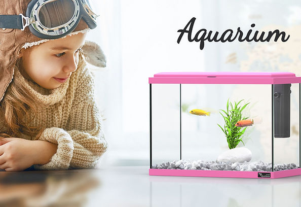 online colour fish delivery