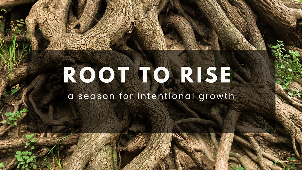 We need roots to grow 🌱