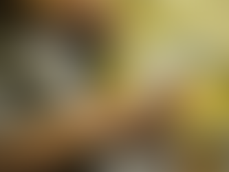 Economia brasileira cresce 0,1% no terceiro trimestre, estima FGV