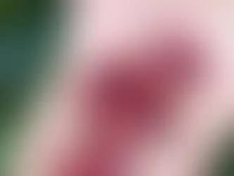 China habilita 183 novas empresas brasileiras para exportação de café