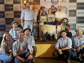 Expointer 2025 registra quase R$ 1 milhão na comercialização de ovinos