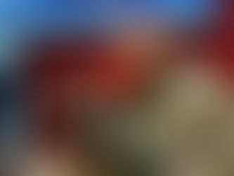 NDC recebe Secretária da Mulher para discutir o papel dos homens no enfrentamento à violência