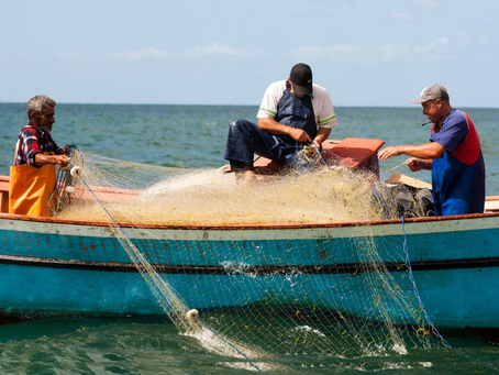 Pescadores da região preparam ação coletiva para cobrar seguro-defeso atrasado