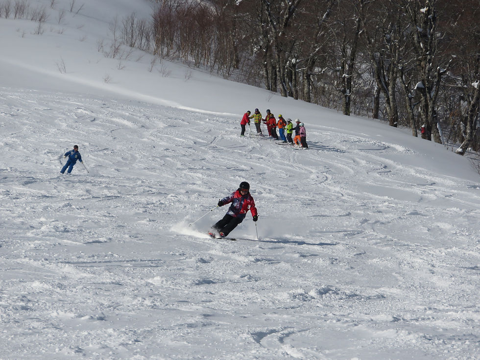 スキー上達講座 14期 3/14(土)~3/15(日)