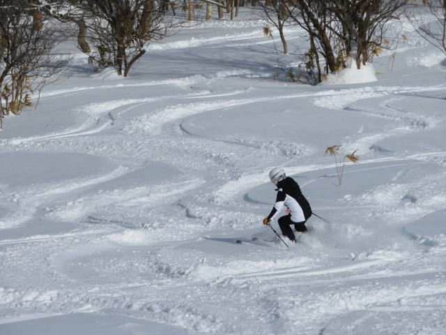 サムネイル： みちのくスキーキャンプ2期　3/1(月)～3/3(水)