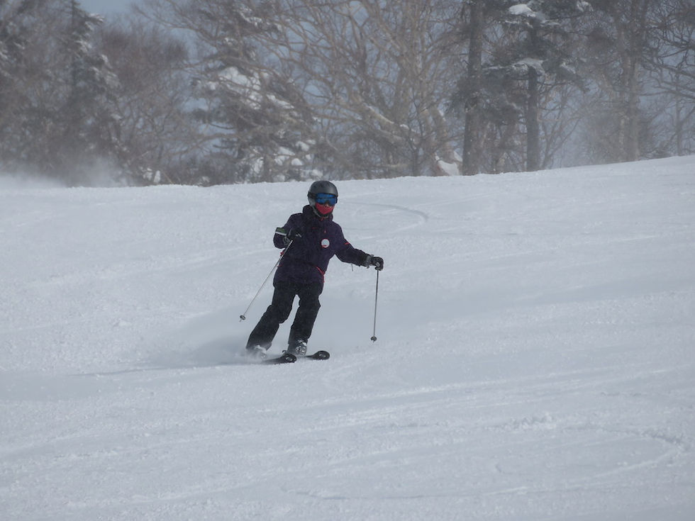 ショートターン講座 2期入門 1/17(土)~1/18(日)