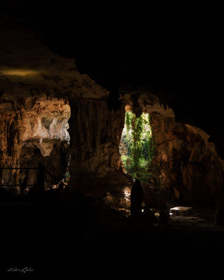 NarGam-18.jpg