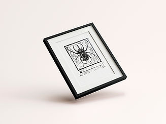 Grabado Linoleo Insecto elaborado por Sr Bandido