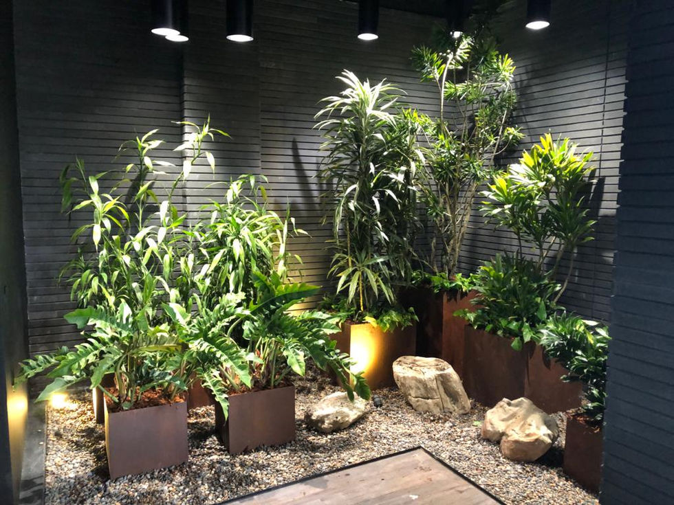 Casa Juan Luis Londoño - Mgroup Arq
