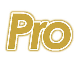 Pro.png