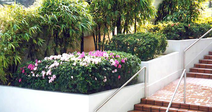 Green Acres 菁藝花園