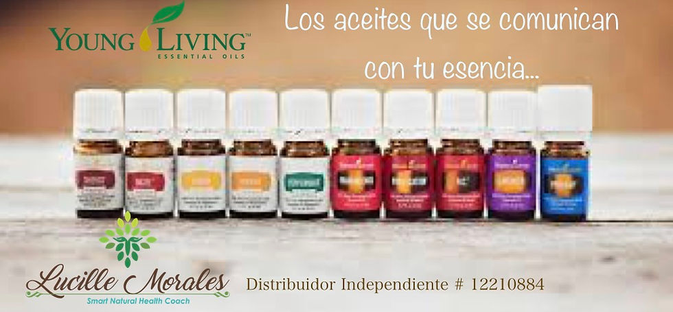 Young Living es quien establece el estándar de pureza y autenticidad. Supervisa cuidadosamente la producción de sus aceites de principio a fin a través de su exclusivo proceso Seed to Seal® (De la semilla al sello), que garantiza la pureza de cada aceite esencial y protege la energía viva de la naturaleza en cada frasco. Durante más de dos décadas, han supervisado diligentemente cada paso de este proceso.
