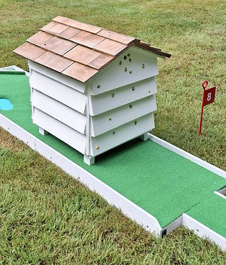 Beehive hole 1lq_edited.jpg