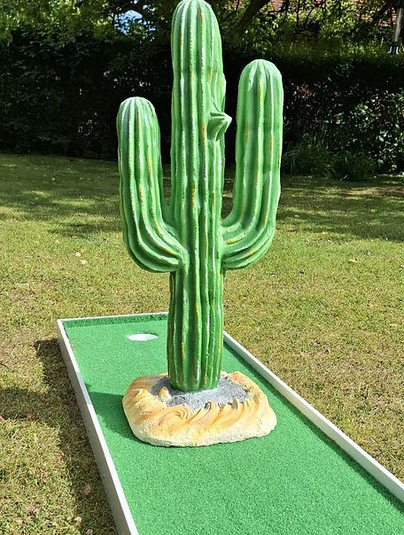 cactus1lq.jpg