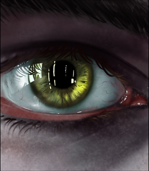 illustrations.png