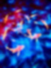 IMG_0143.jpeg