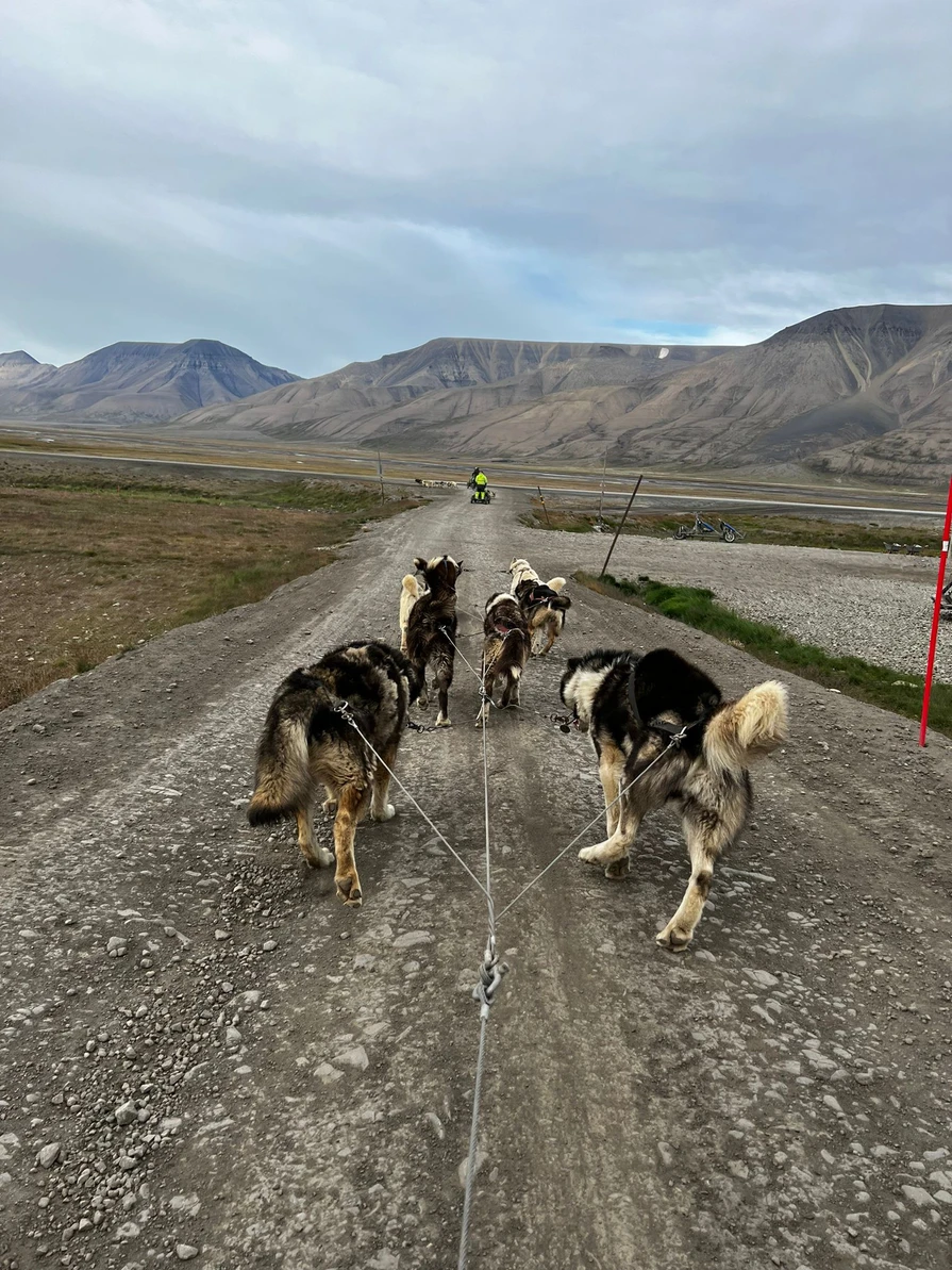 Huskies - Un verano en el Ártico: SVALBARD 78ºN (6)