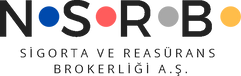 nsrb2.png