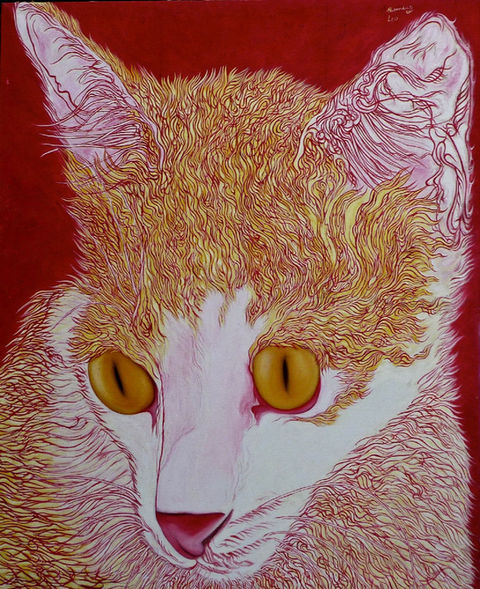 Cats