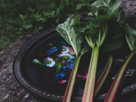 Mikromaatilan esikuvana venäläinen datša