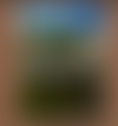 Libro: Compilación de la Memoria