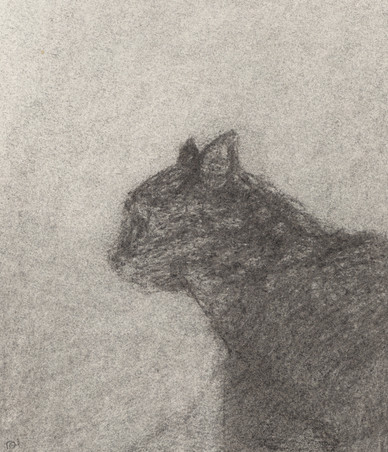 Black Cat