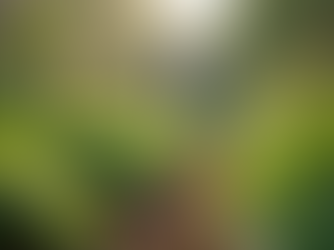 The Importance of Sustainable Living in Today's World