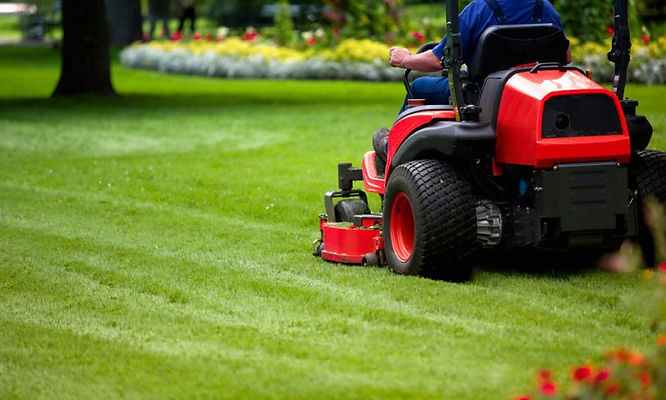 come-avviare-impresa-giardinaggio.jpg