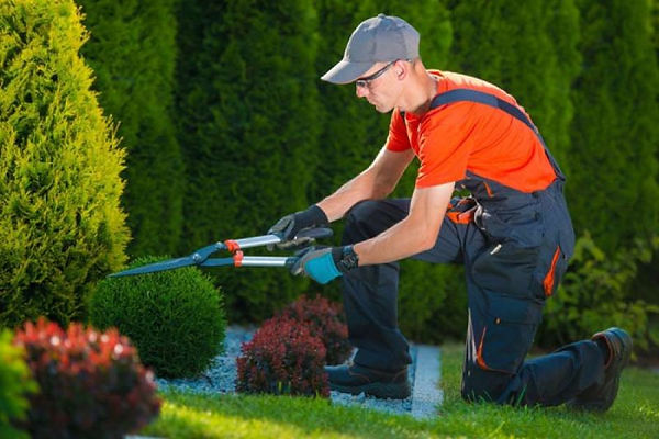 come-avviare-attivita-giardiniere.jpg