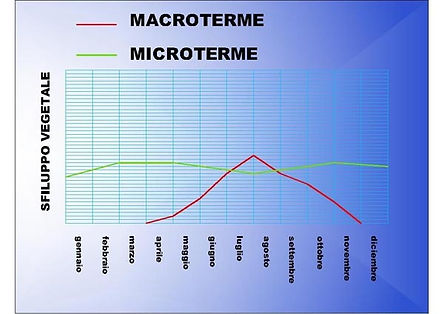 schema_pratomicromacro.jpg