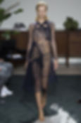 Darquer_Jason Wu_o.jpg
