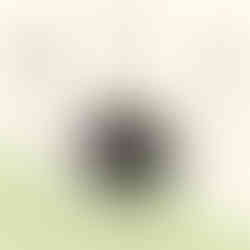 社群媒體行銷、品牌建立、社群定位、加盟連鎖品牌行銷