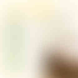 社群媒體行銷、品牌建立、社群定位、加盟連鎖品牌行銷