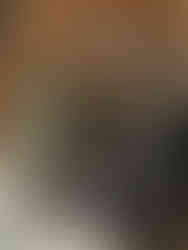 GUTEK 固道 AS-DV-T300 防護箱分箱隔斷配件