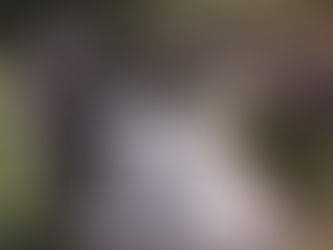 Moving Like Water: Queer Dance and the Fluid Body