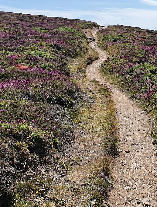 Landschaft Bretagne Weg.png