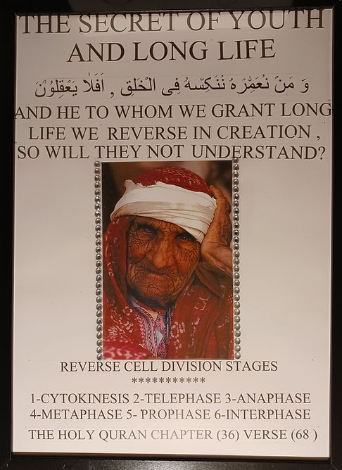 یس پیر زن .jpg