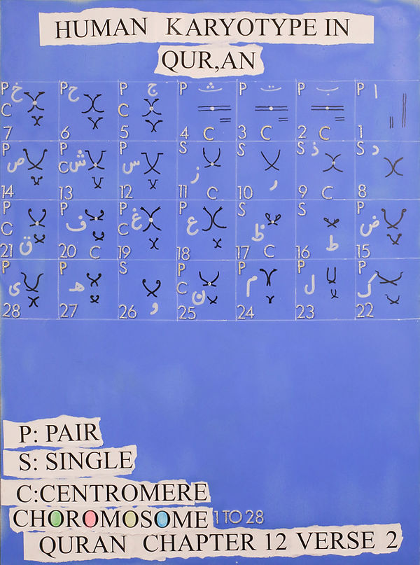 Human Karyotype.jpg