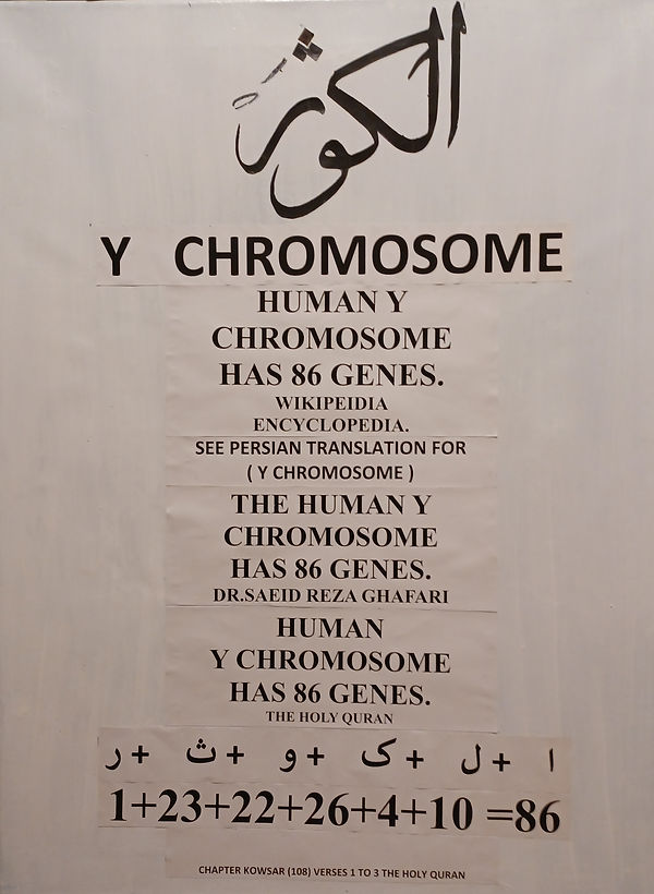 kowsar 86 gene on y chromosome.jpg
