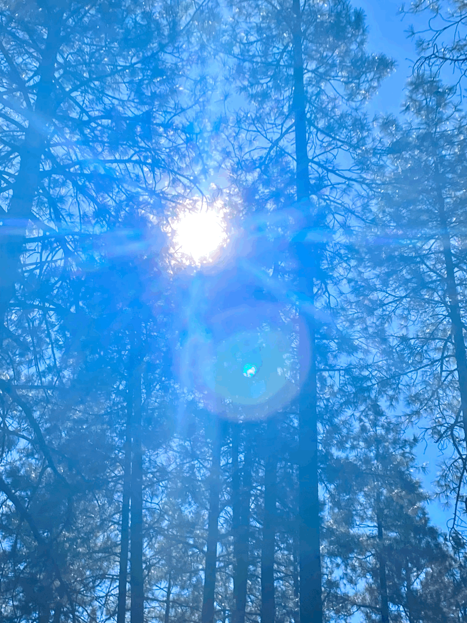 11-19-23.gif