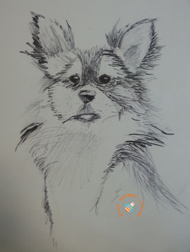 martenot levallois levallois-perret neuilly-sur-seine courbevoie asnières clicly dessin cours atelier martenot association arts plastiques dessinons-ensemble atelier studio dessin peinture loisirs créativité pass'art cynnae prepa art levallois levallois-perret neuilly-sur-seine courbevoie asnières clicly dessin cours atelier martenot association arts plastiques dessinons-ensemble atelier studio dessin peinture loisirs créativité pass'art cynnae prepa art