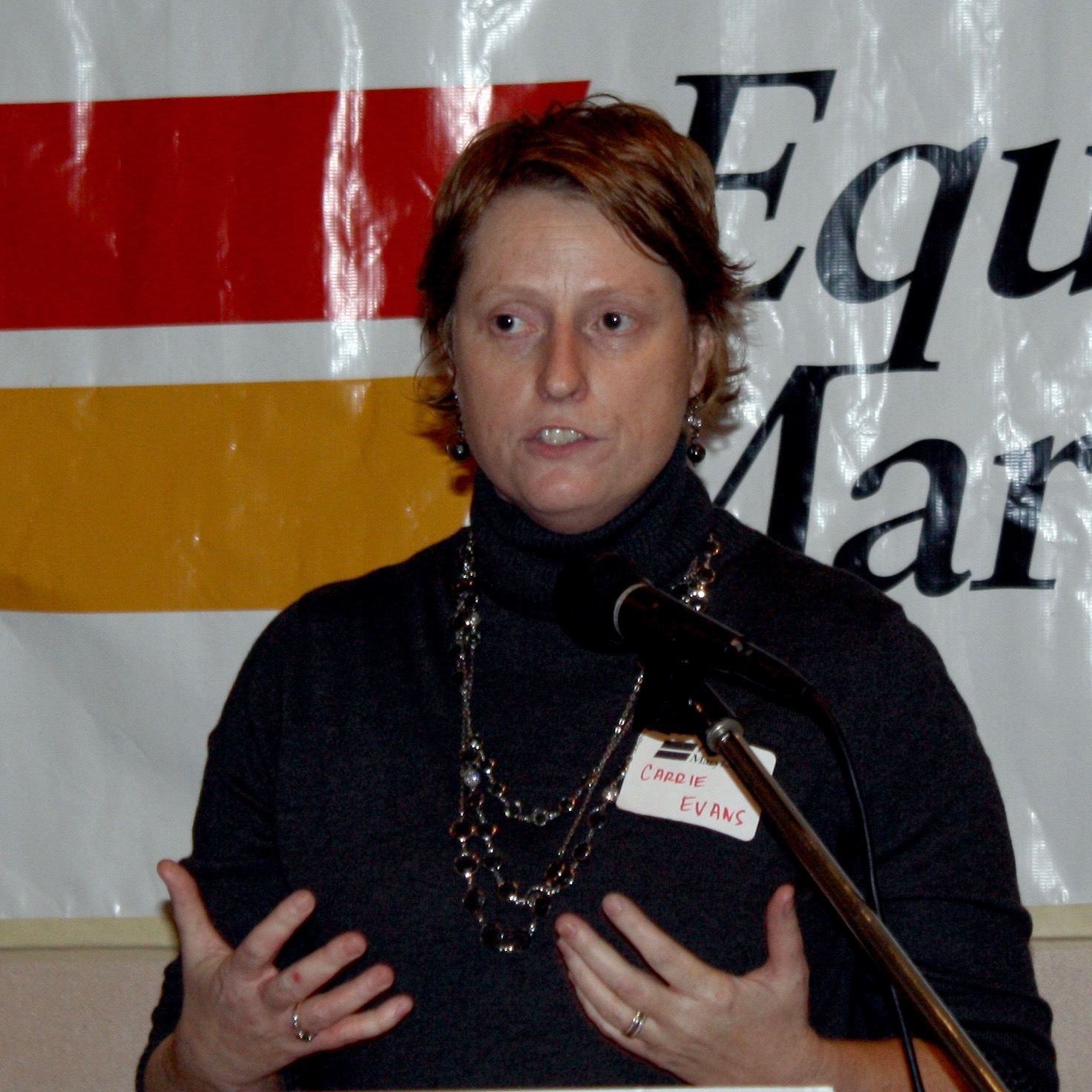 Evans 2011