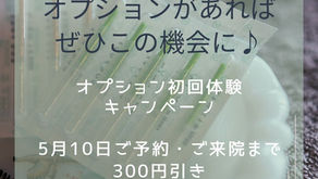 オプション初回体験キャンペーン実施中