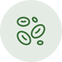 cellular.png