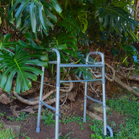 Back on Oʻahu, Continuing Care