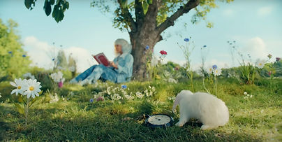 Screenshot 2024-09-24 at 13_edited.jpg