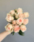 Light Peach Roses